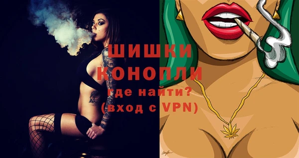 дурь Рославль