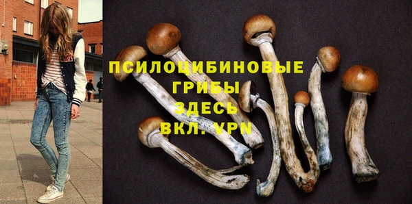 гидра Пролетарск