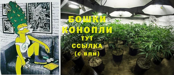 дурь Рославль