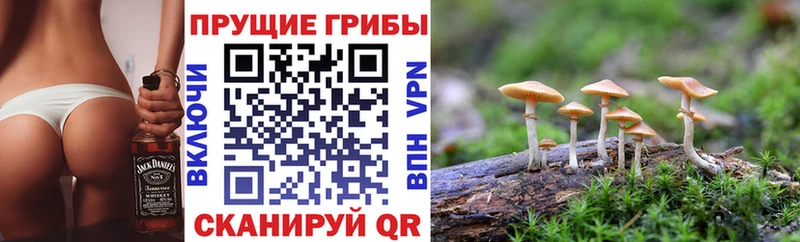 Галлюциногенные грибы MAGIC MUSHROOMS  Купить где  Алагир 